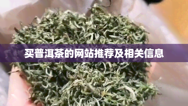 买普洱茶的网站推荐及相关信息