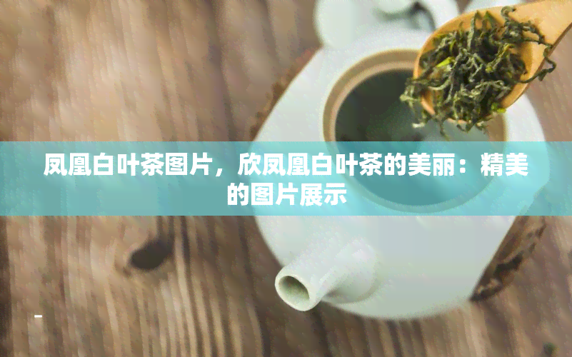 凤凰白叶茶图片，欣凤凰白叶茶的美丽：精美的图片展示