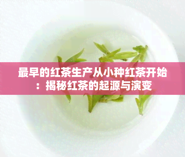 最早的红茶生产从小种红茶开始：揭秘红茶的起源与演变