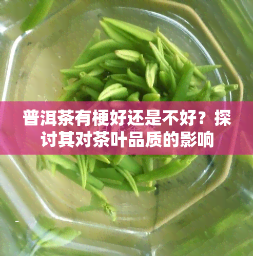 普洱茶有梗好还是不好？探讨其对茶叶品质的影响