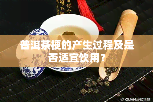 普洱茶梗的产生过程及是否适宜饮用？