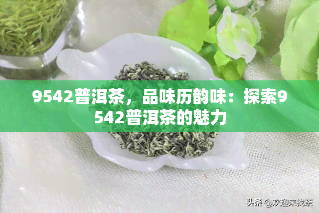 9542普洱茶，品味历韵味：探索9542普洱茶的魅力