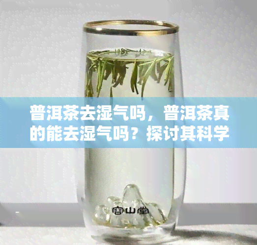 普洱茶去湿气吗，普洱茶真的能去湿气吗？探讨其科学依据与效果