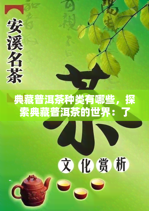 典藏普洱茶种类有哪些，探索典藏普洱茶的世界：了解不同种类的普洱茶