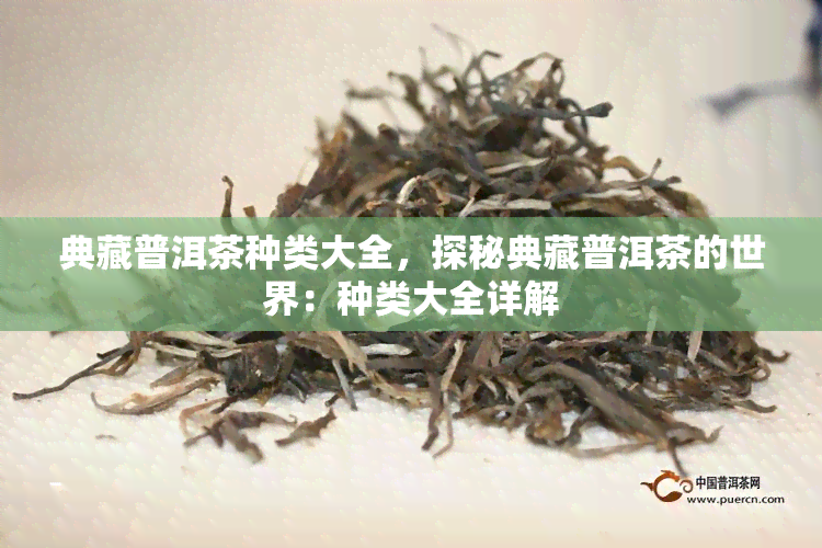 典藏普洱茶种类大全，探秘典藏普洱茶的世界：种类大全详解