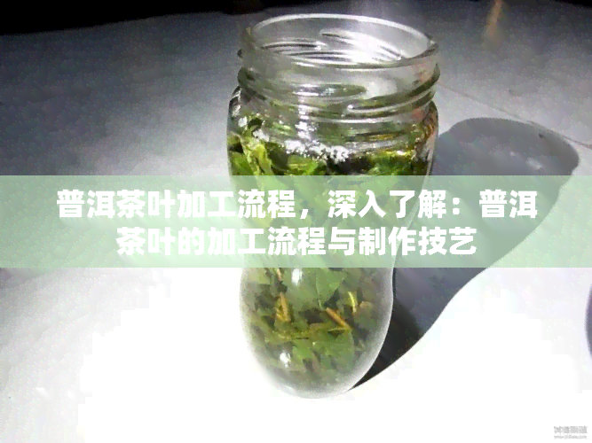 普洱茶叶加工流程，深入了解：普洱茶叶的加工流程与制作技艺