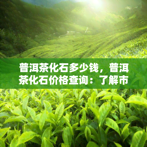 普洱茶化石多少钱，普洱茶化石价格查询：了解市场行情