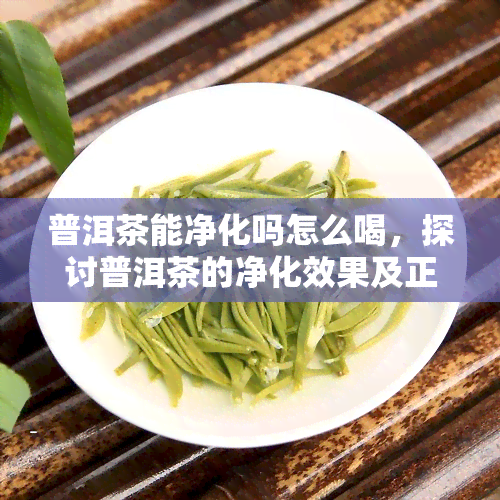 普洱茶能净化吗怎么喝，探讨普洱茶的净化效果及正确饮用方法