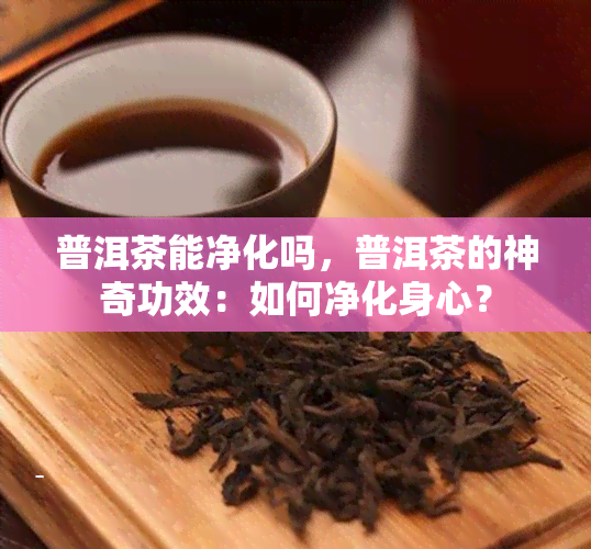 普洱茶能净化吗，普洱茶的神奇功效：如何净化身心？