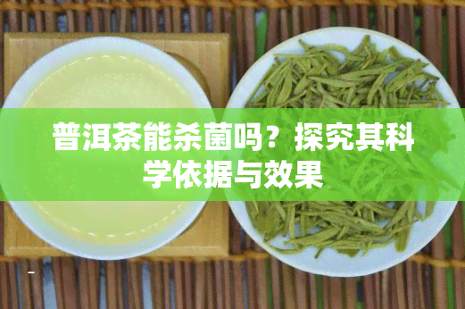 普洱茶能杀菌吗？探究其科学依据与效果