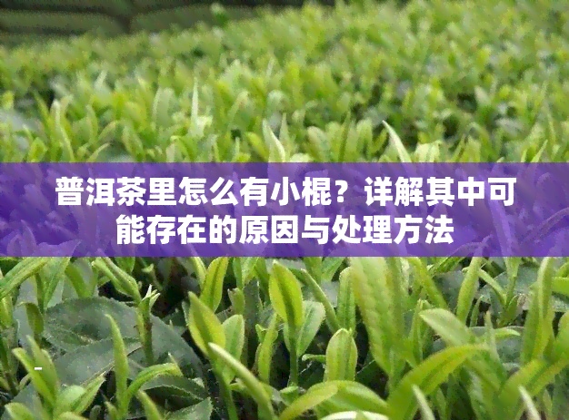 普洱茶里怎么有小棍？详解其中可能存在的原因与处理方法