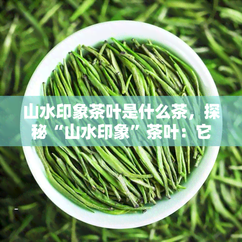 山水印象茶叶是什么茶，探秘“山水印象”茶叶：它到底属于哪种茶？