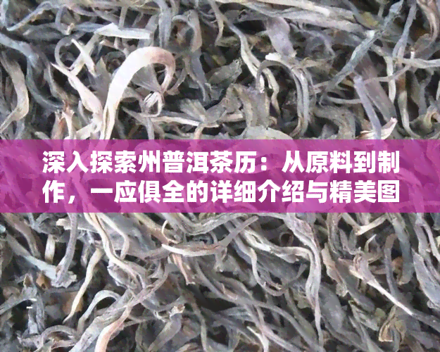 深入探索州普洱茶历：从原料到制作，一应俱全的详细介绍与精美图片