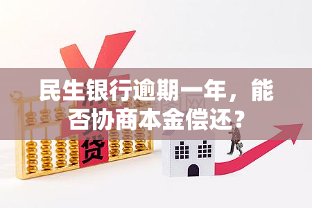 民生银行逾期一年，能否协商本金偿还？