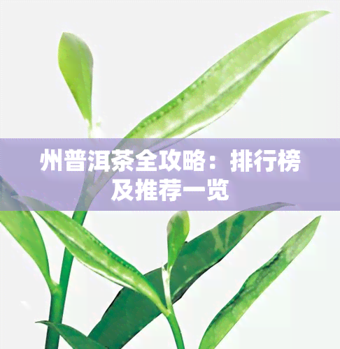 州普洱茶全攻略：排行榜及推荐一览