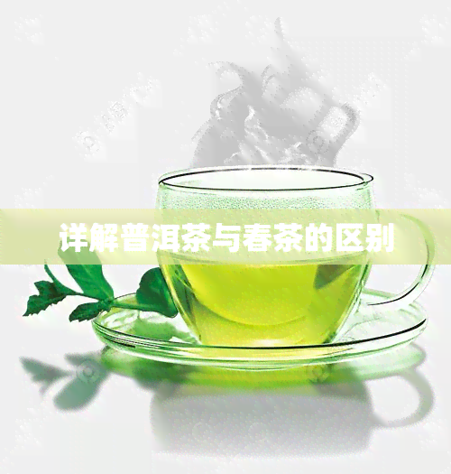 详解普洱茶与春茶的区别