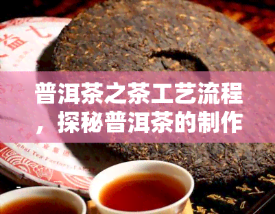 普洱茶之茶工艺流程，探秘普洱茶的制作工艺：从采摘到品饮的全过程解析