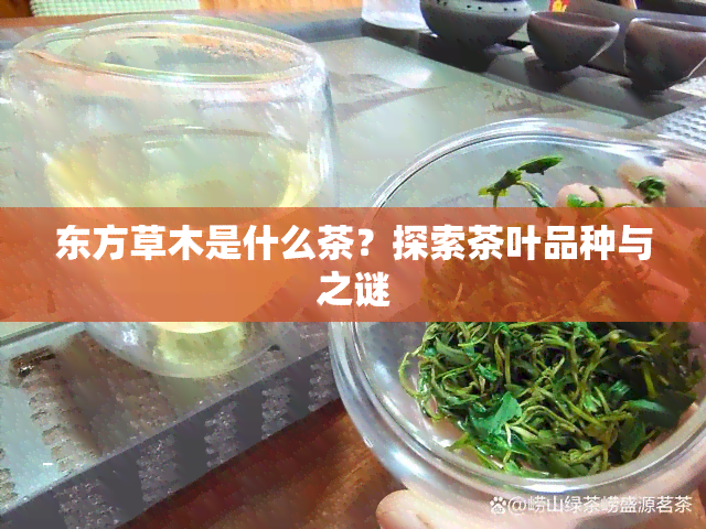 东方草木是什么茶？探索茶叶品种与之谜