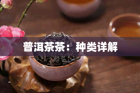 普洱茶茶：种类详解