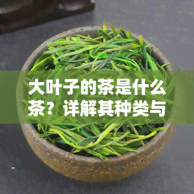 大叶子的茶是什么茶？详解其种类与特点