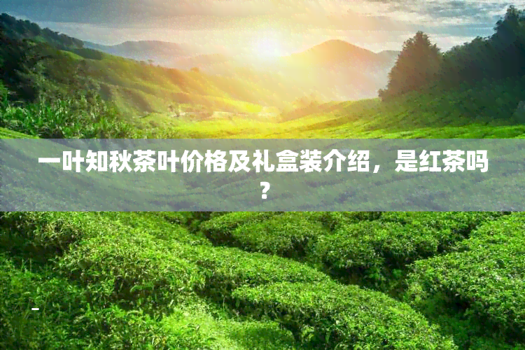 一叶知秋茶叶价格及礼盒装介绍，是红茶吗？