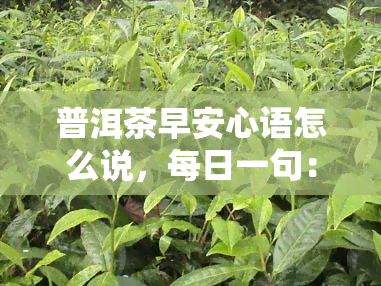 普洱茶早安心语怎么说，每日一句：普洱茶的早安心语，让你一整天都充满能量！