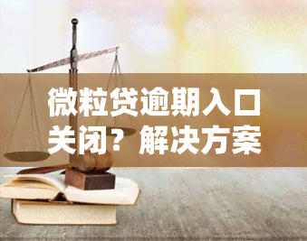 微粒贷逾期入口关闭？解决方案全在这！