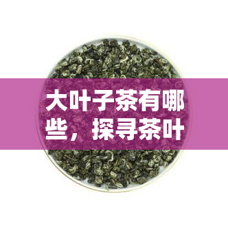 大叶子茶有哪些，探寻茶叶世界：揭秘大叶子茶的种类与特点