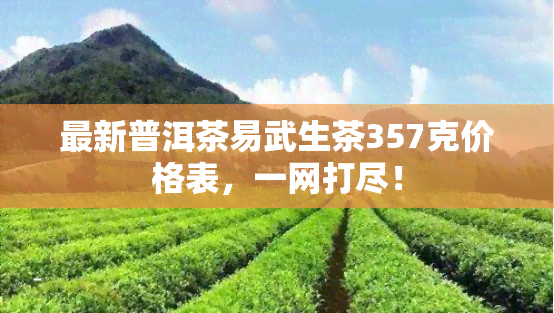 最新普洱茶易武生茶357克价格表，一网打尽！