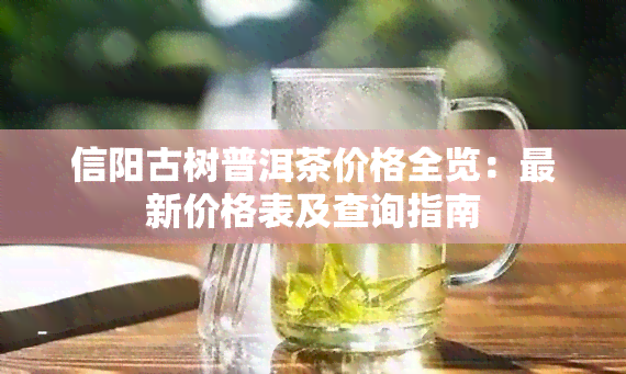 信阳古树普洱茶价格全览：最新价格表及查询指南