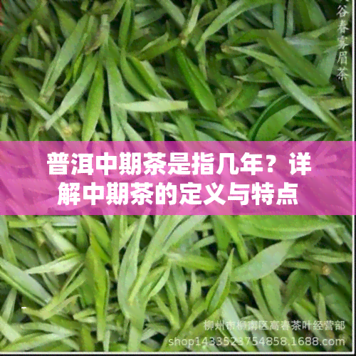 普洱中期茶是指几年？详解中期茶的定义与特点