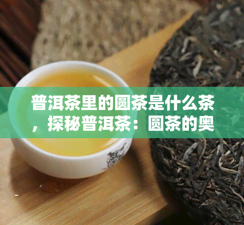 普洱茶里的圆茶是什么茶，探秘普洱茶：圆茶的奥秘与特点