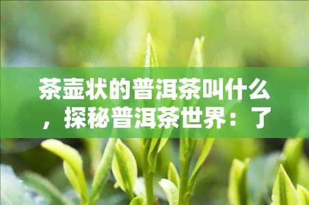 茶壶状的普洱茶叫什么，探秘普洱茶世界：了解茶壶状普洱茶的名称与特点