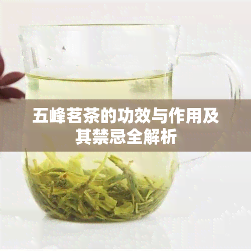 五峰茗茶的功效与作用及其禁忌全解析