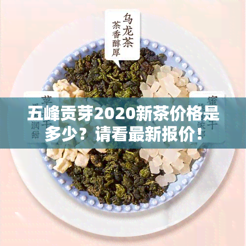 五峰贡芽2020新茶价格是多少？请看最新报价！