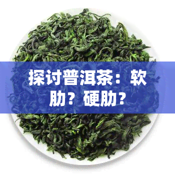 探讨普洱茶：软肋？硬肋？