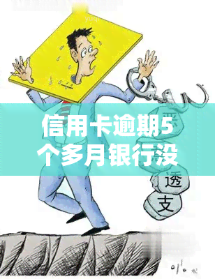 信用卡逾期5个多月银行没有打电话，信用卡逾期5个月，为何银行仍未进行？