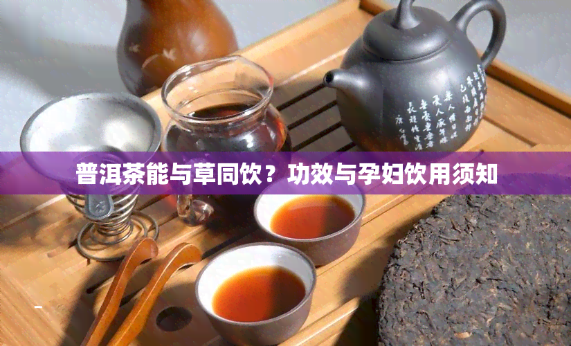 普洱茶能与草同饮？功效与孕妇饮用须知