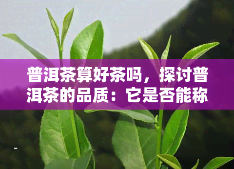 普洱茶算好茶吗，探讨普洱茶的品质：它是否能称得上是好茶？