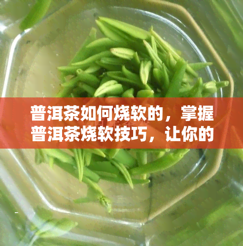 普洱茶如何烧软的，掌握普洱茶烧软技巧，让你的口感更上一层楼！