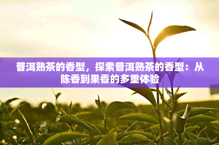 普洱熟茶的香型，探索普洱熟茶的香型：从陈香到果香的多重体验