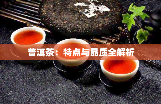 普洱茶：特点与品质全解析