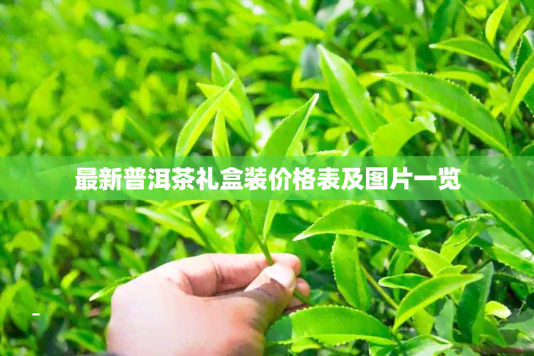 最新普洱茶礼盒装价格表及图片一览