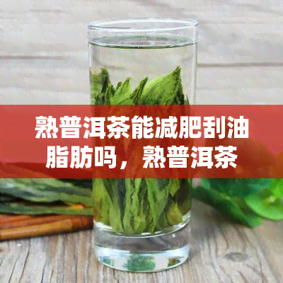 熟普洱茶能减肥刮油脂肪吗，熟普洱茶的减肥效果真的好吗？刮油减脂有科学依据吗？