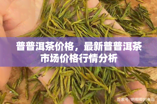 普普洱茶价格，最新普普洱茶市场价格行情分析