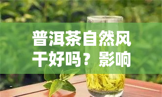 普洱茶自然风干好吗？影响口感及保存期限的因素解析