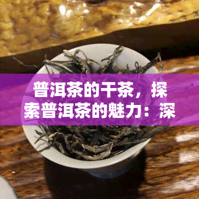 普洱茶的干茶，探索普洱茶的魅力：深入了解其干茶的特点与制作过程