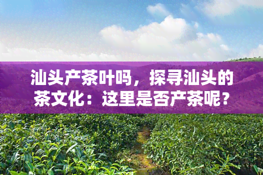 汕头产茶叶吗，探寻汕头的茶文化：这里是否产茶呢？