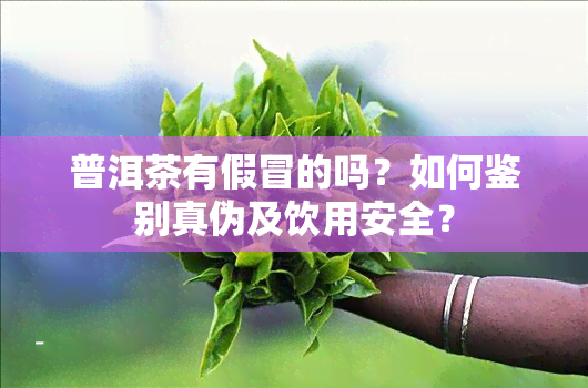 普洱茶有假冒的吗？如何鉴别真伪及饮用安全？