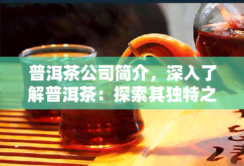 普洱茶公司简介，深入了解普洱茶：探索其独特之处和背后的故事